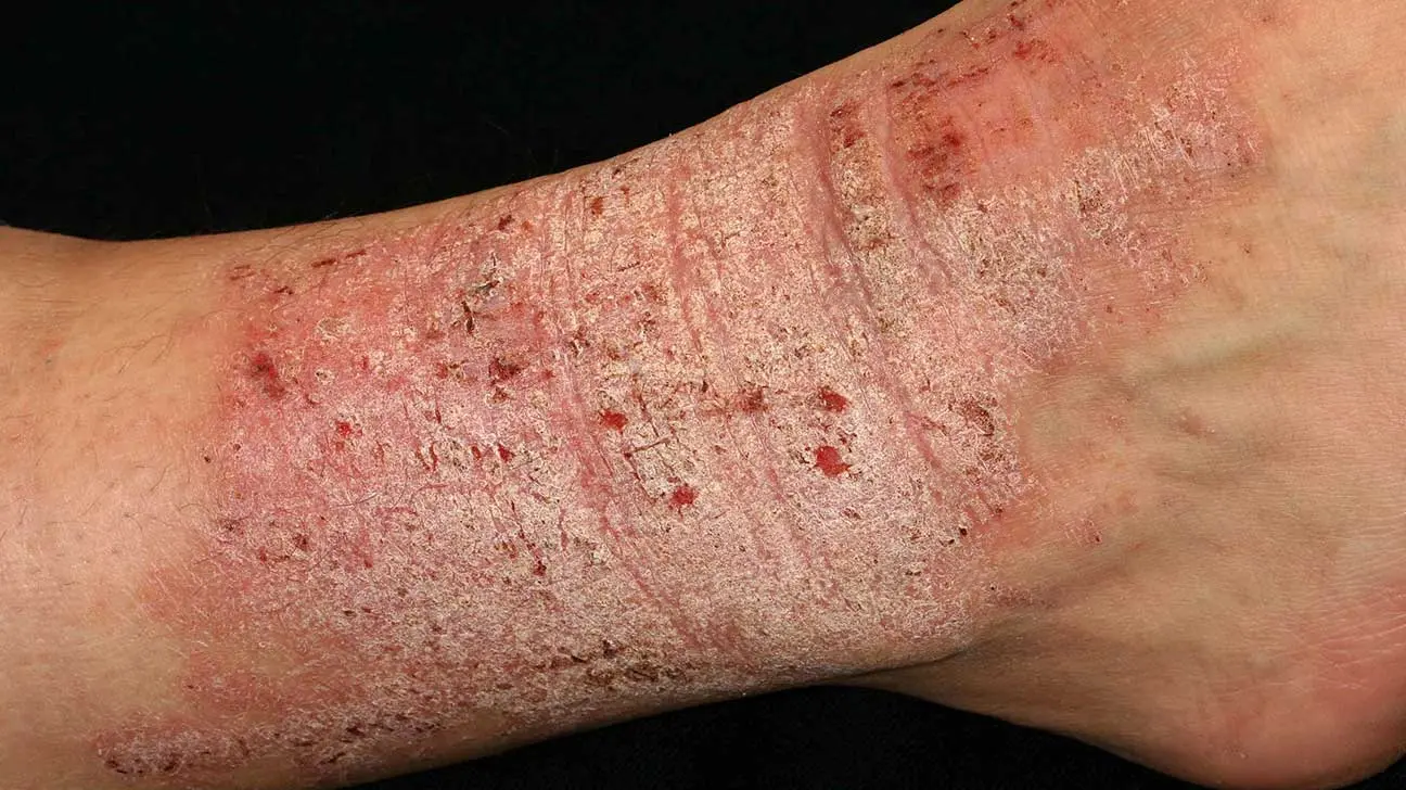 image - 2025-08-07T180054