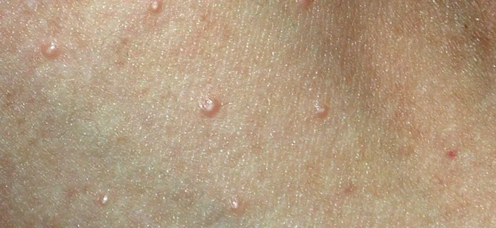 image - 2025-08-07T180618