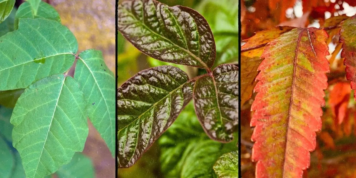 image - 2025-08-07T182039