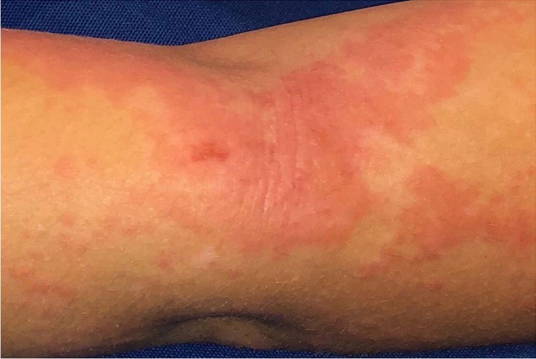 image - 2025-08-07T182132